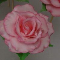 Gum Paste Roses Large pink rose