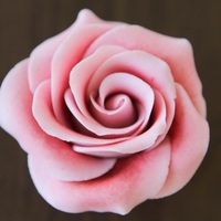 Gumpaste Rose 1 Gumpaste rose.