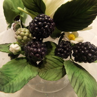 First Attempt At Gumpaste Blackberries Blackberries in various stages of ripeness, including blossoms, buds and leaves.