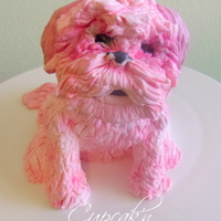 Shih Tzu Cake Topper Made Of Modeling Chocolate Inspired By The Birthday Girls Family Dog Shih Tzu cake topper made of modeling chocolate inspired by the birthday girl's family dog.