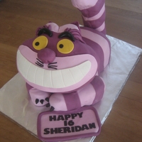 Cheshire Cat 