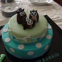 10288766 768509159840915 7644974569925357262 N 