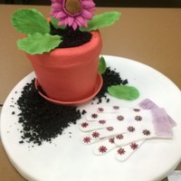 Pound Cake Flower Pot Buttercream Icing With Gum Paste Water Tray Gum Paste Daisy Amp Leaves Toasted Cake Crumb Dirt Amp Painted Gum Pound cake flower pot, buttercream icing with gum paste water tray, gum paste daisy & leaves. Toasted cake crumb dirt & painted gum...