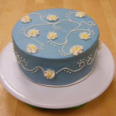 Wilton Basic Class Final Cake