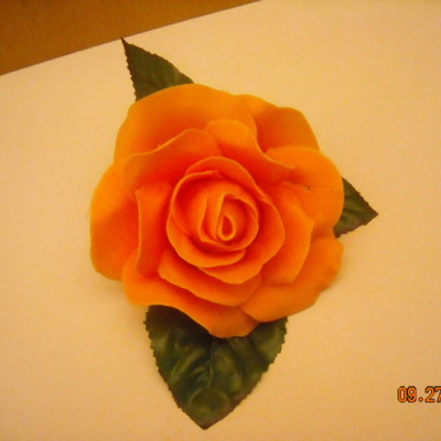 My First Sensational Rose