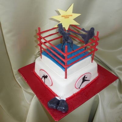 Kick Boxing Cake