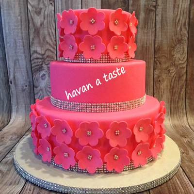 Hot Pink And Bling Just What She Asked For