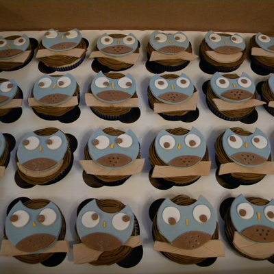Owl Baby Shower