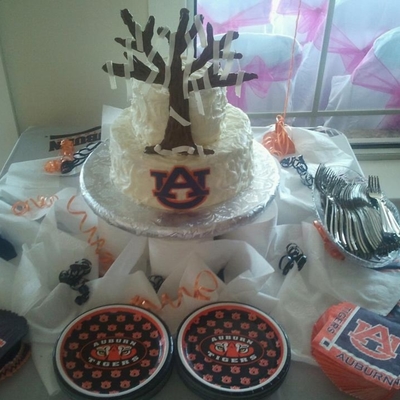 Auburn Tigers Grooms Cake