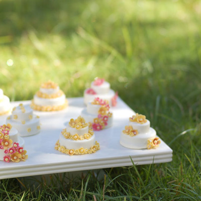 Miniature Cake Chocolate Covered Cookies