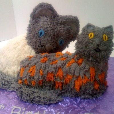 2 Cats
