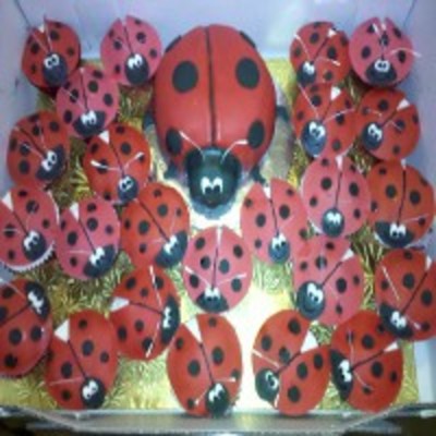Lady Bug Cupcakes With Smash Cake Fondant