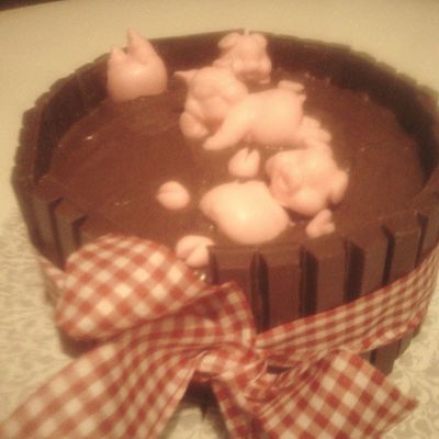 Pig In The Mud Cake