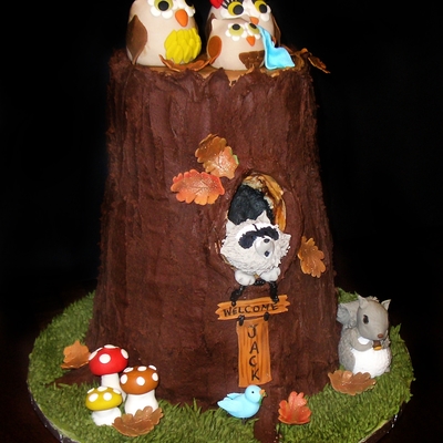 Owl Themed Baby Shower