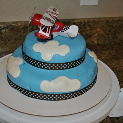 airplane cake decorating photos airplane sheet cake