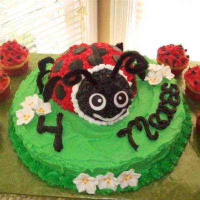 Lady Bug Cake