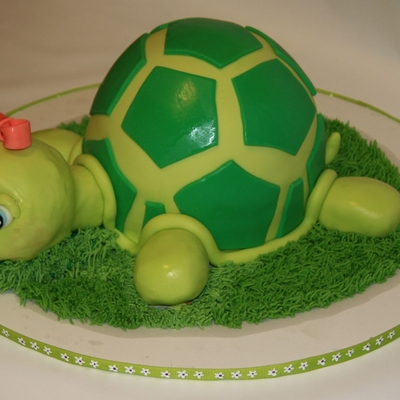 Turtle Cake