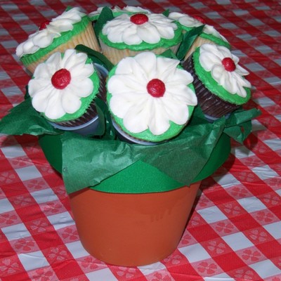 Daisy Flowerpots