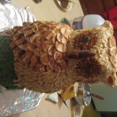 Owl