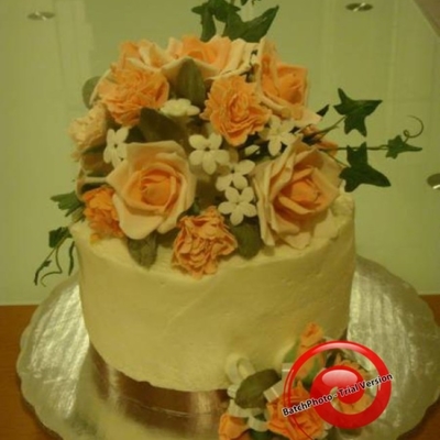 Roses And Carnations