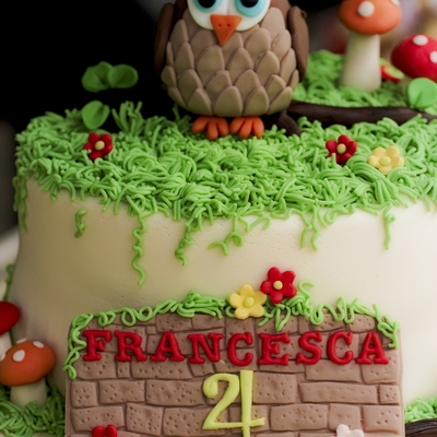 Woodlands/ Owl Themed Cake
