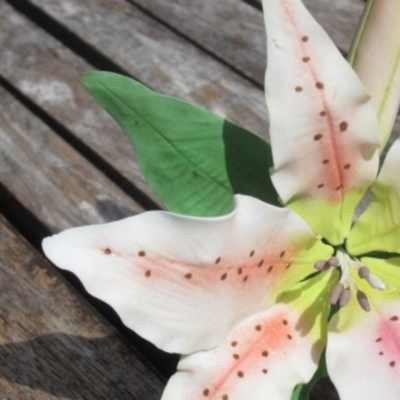 Gumpaste Stargazer Lily