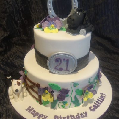 21St Cake For A Horse Loving Young Lady Two Tiers Of Mud Cake 96 Inches