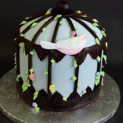 Birdcage Cake Just For Fun