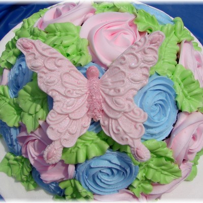 Butterflies & Flowers