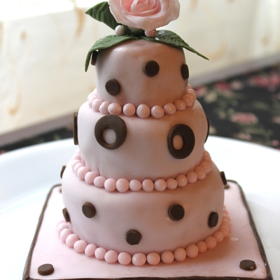 Pink And Brown Mini-Cake