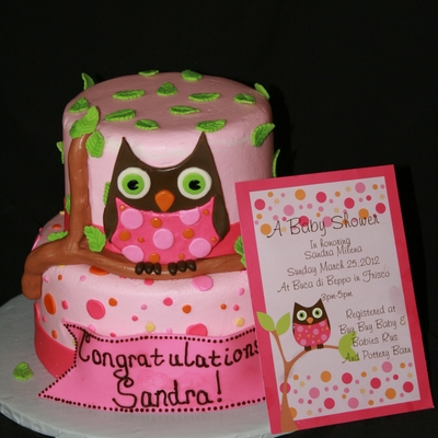 Owl Baby Shower