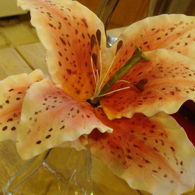Pink Stargazer Lily