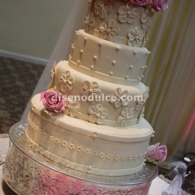 Ivory And Pink Roses