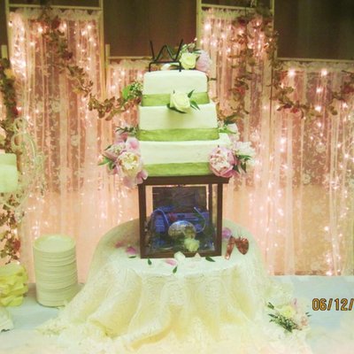 Woods - June 11, 2011