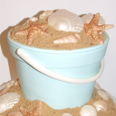 Shells In The Sand
