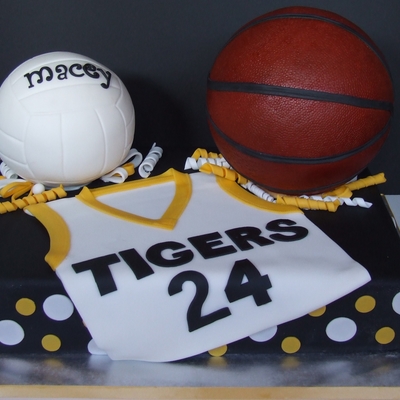 Volleyball & Basketball