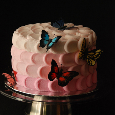 Butterfly Birthday