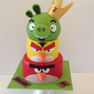 Agry Birds For My One Son