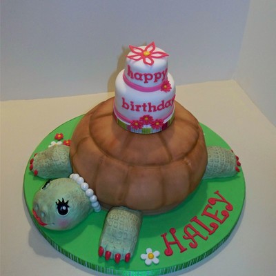 Cake For A Turtle Lover