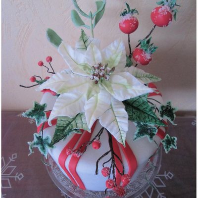 Merry Christmas Poinsettia