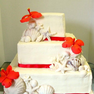 Seashell Cake