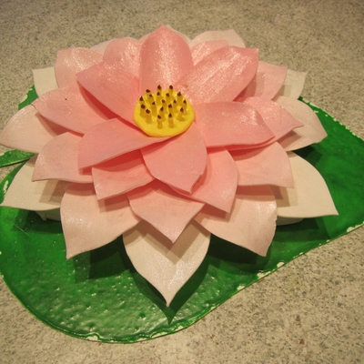 Gallery7684151322311029