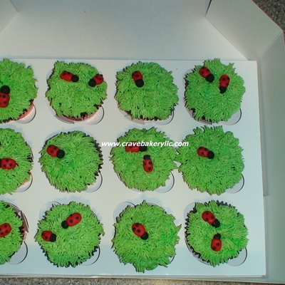Lady Bug Cupcakes
