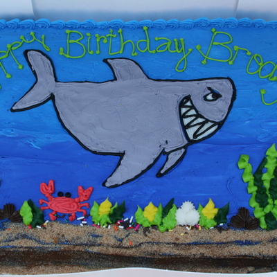 Shark Cake
