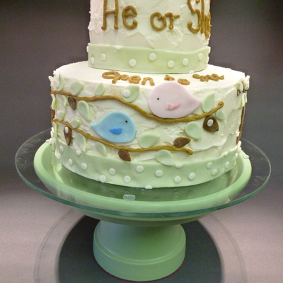 Baby Reveal Cake He Or She Open To See Its Hard To See But There Is A Small Nest On The Very Top With A Yellow Egg Made Of Fondant By