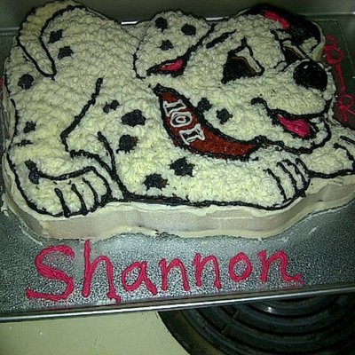 Dalmation