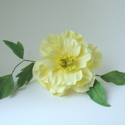 Gumpaste Chinese Peony