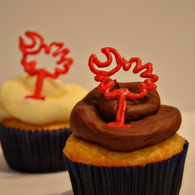 South Carolina Cupcakes!