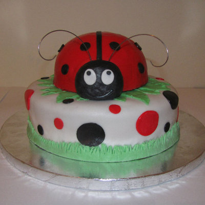 Ladybug Cake
