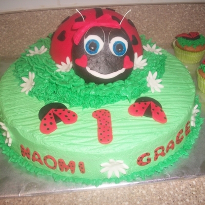 Ladybug First Birthday